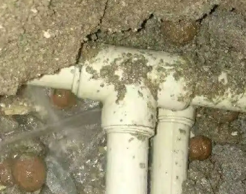 丁青测漏水多少钱