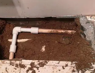 丁青测漏水哪家好