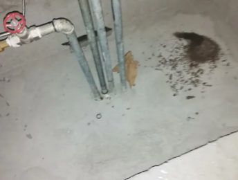 丁青卫生间测漏水价格明细