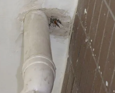 丁青漏水检测哪家好